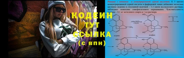 гашик Кулебаки