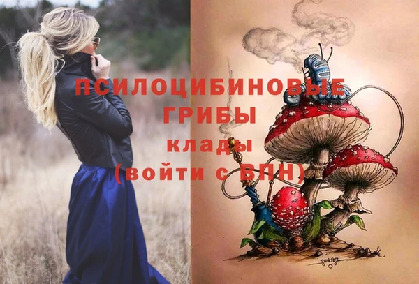 Альфа ПВП Лиски