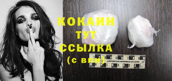 гашик Кулебаки