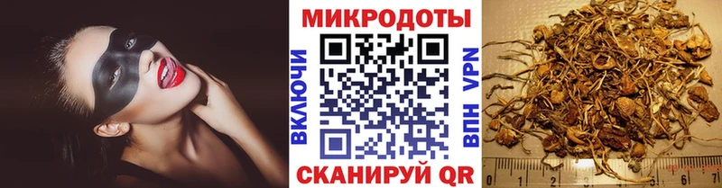 Галлюциногенные грибы MAGIC MUSHROOMS  Спасск 